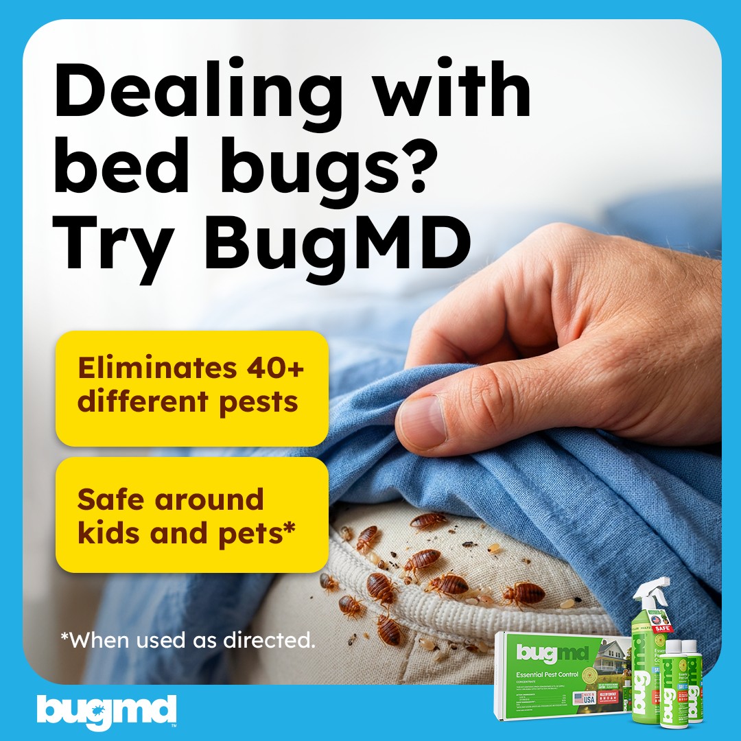 imagen bugmd 9