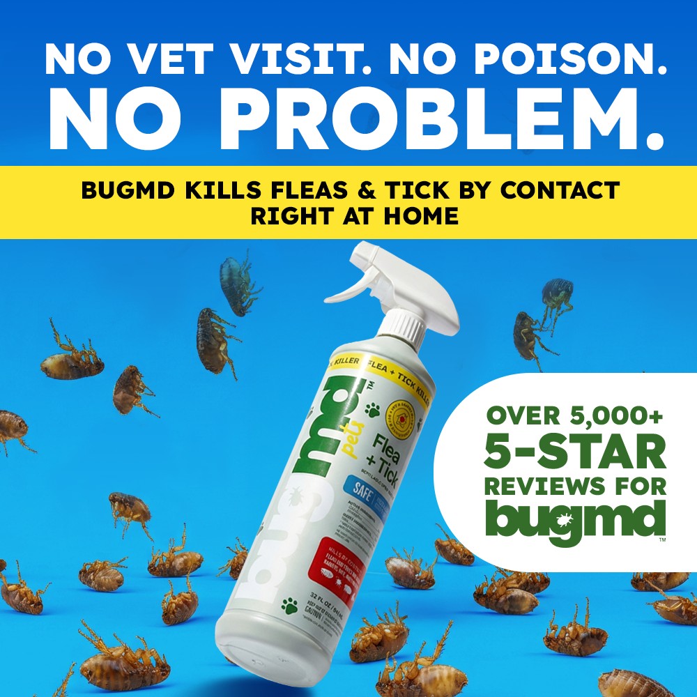 imagen bugmd 14
