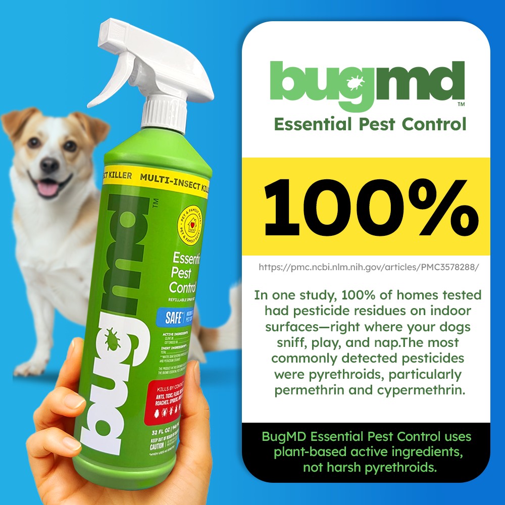 imagen bugmd 15