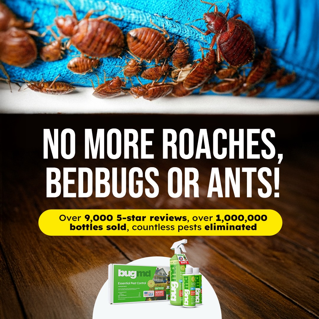 imagen bugmd 42