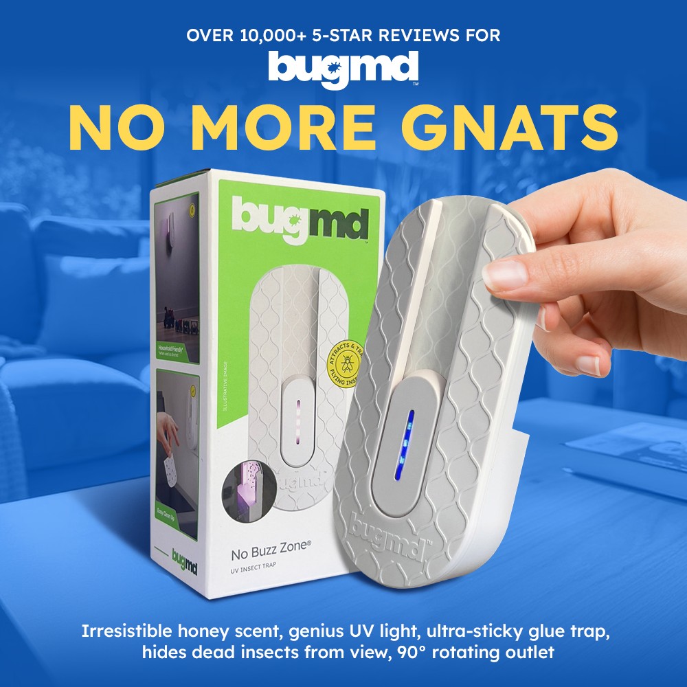 imagen bugmd 49