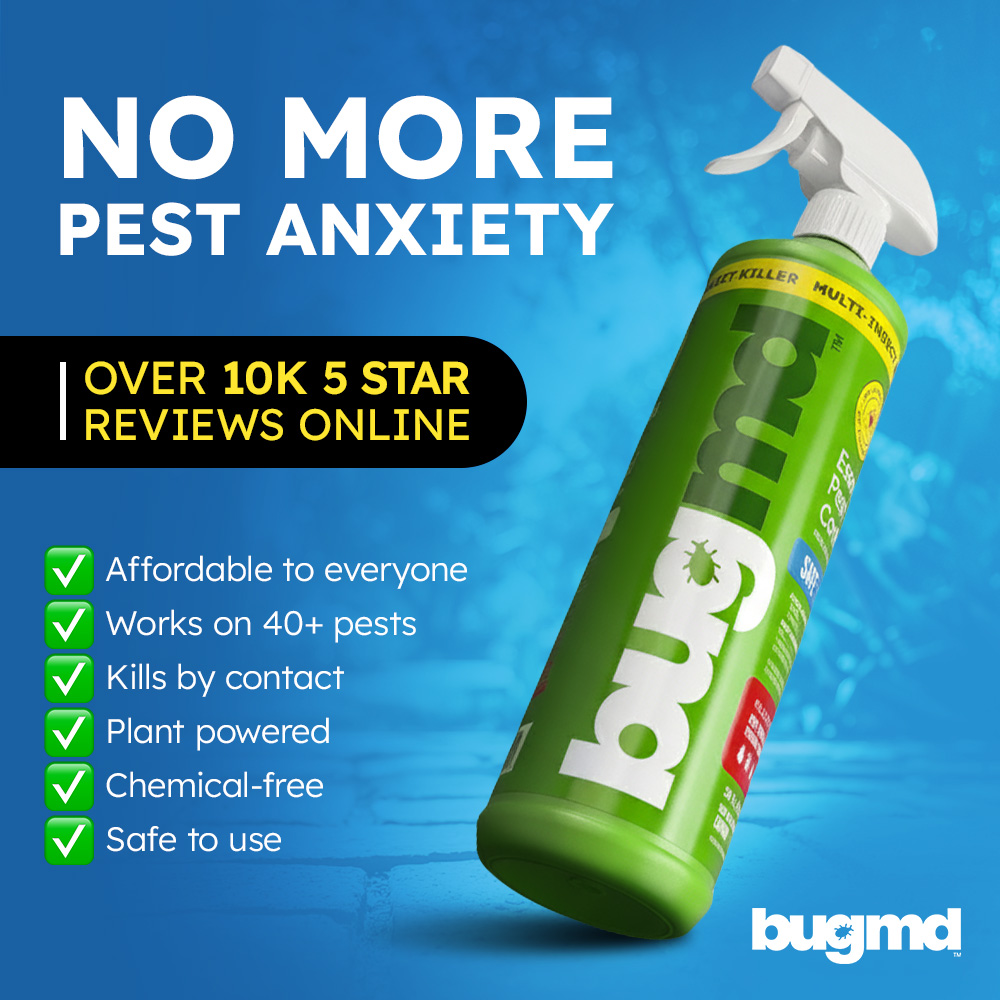 imagen bugmd 50