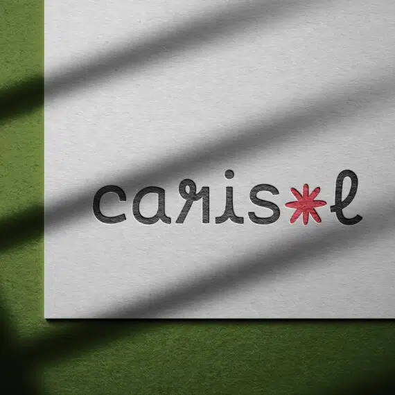 Diseñador de Logotipos