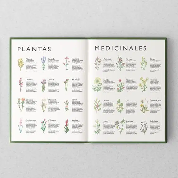 Ilustradora de libros