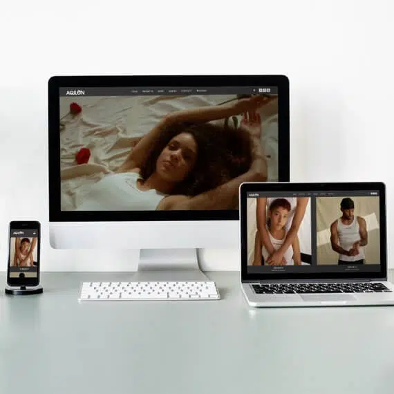 Diseñador Web