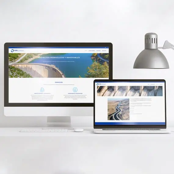 Diseño Web PHR Consult